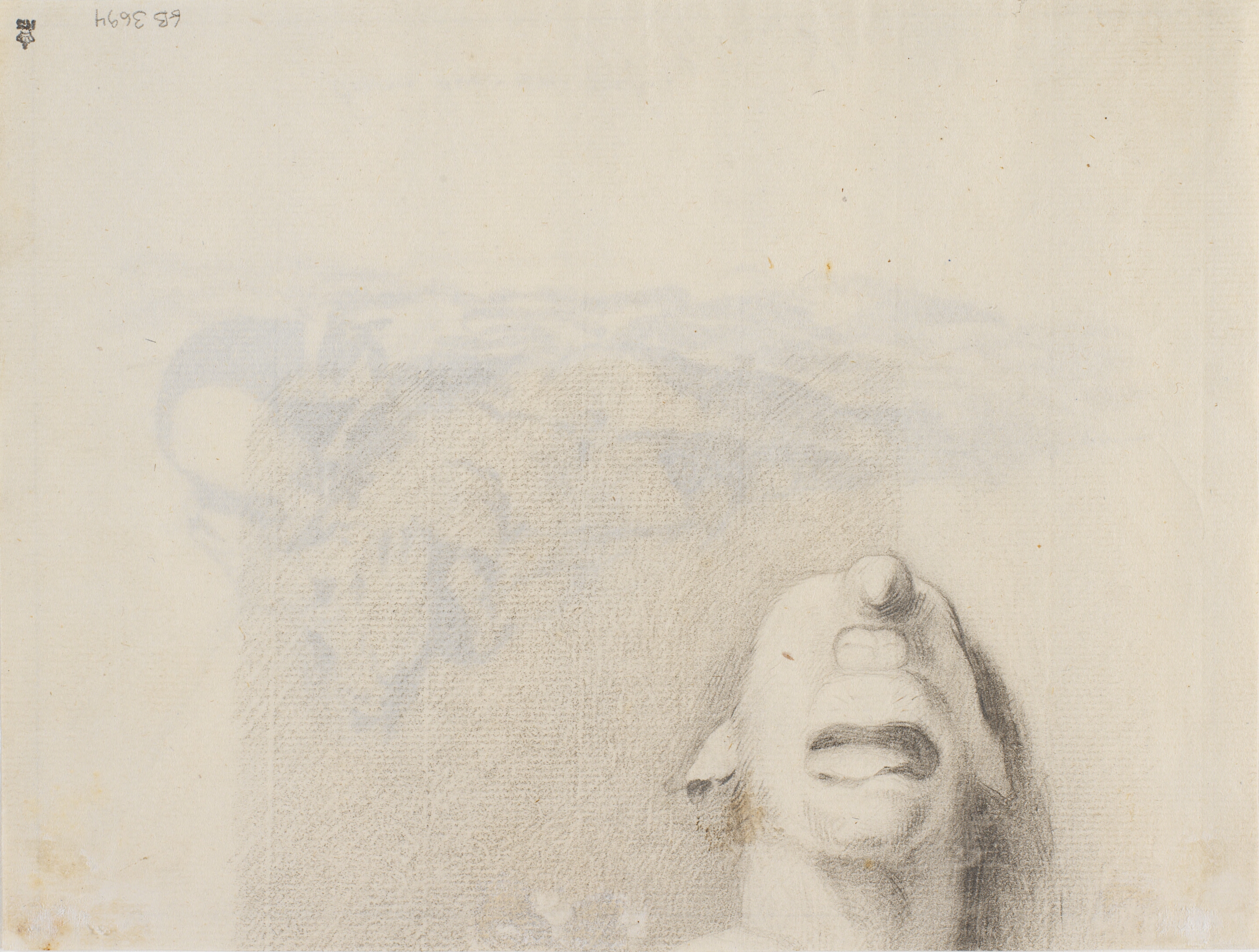 Et fantastisk deformt hoved